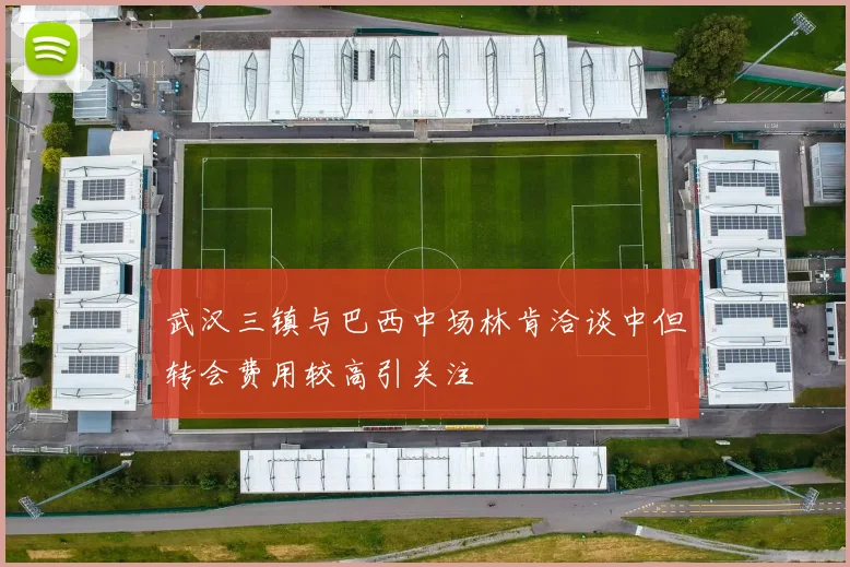 武汉三镇与巴西中场林肯洽谈中但转会费用较高引关注